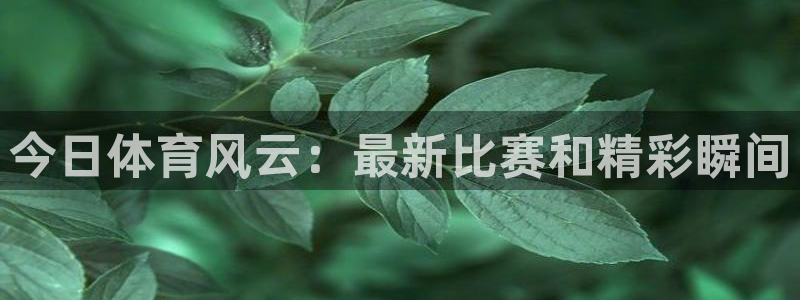 新闻图片