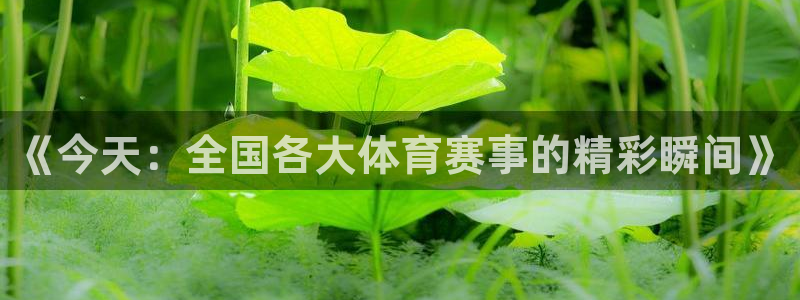 新闻图片
