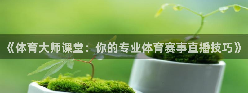 《体育大师课堂：你的专业体育赛事直播技巧》