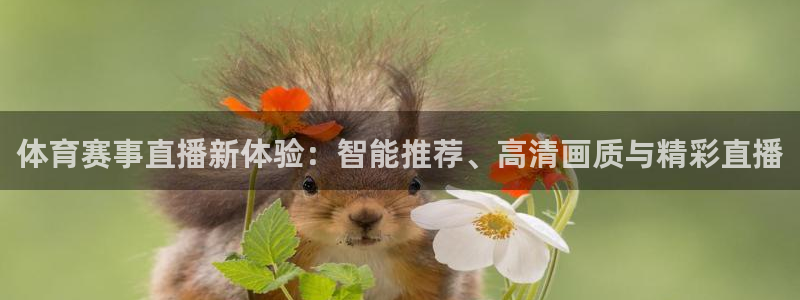 体育赛事直播新体验：智能推荐、高清画质与精彩直播